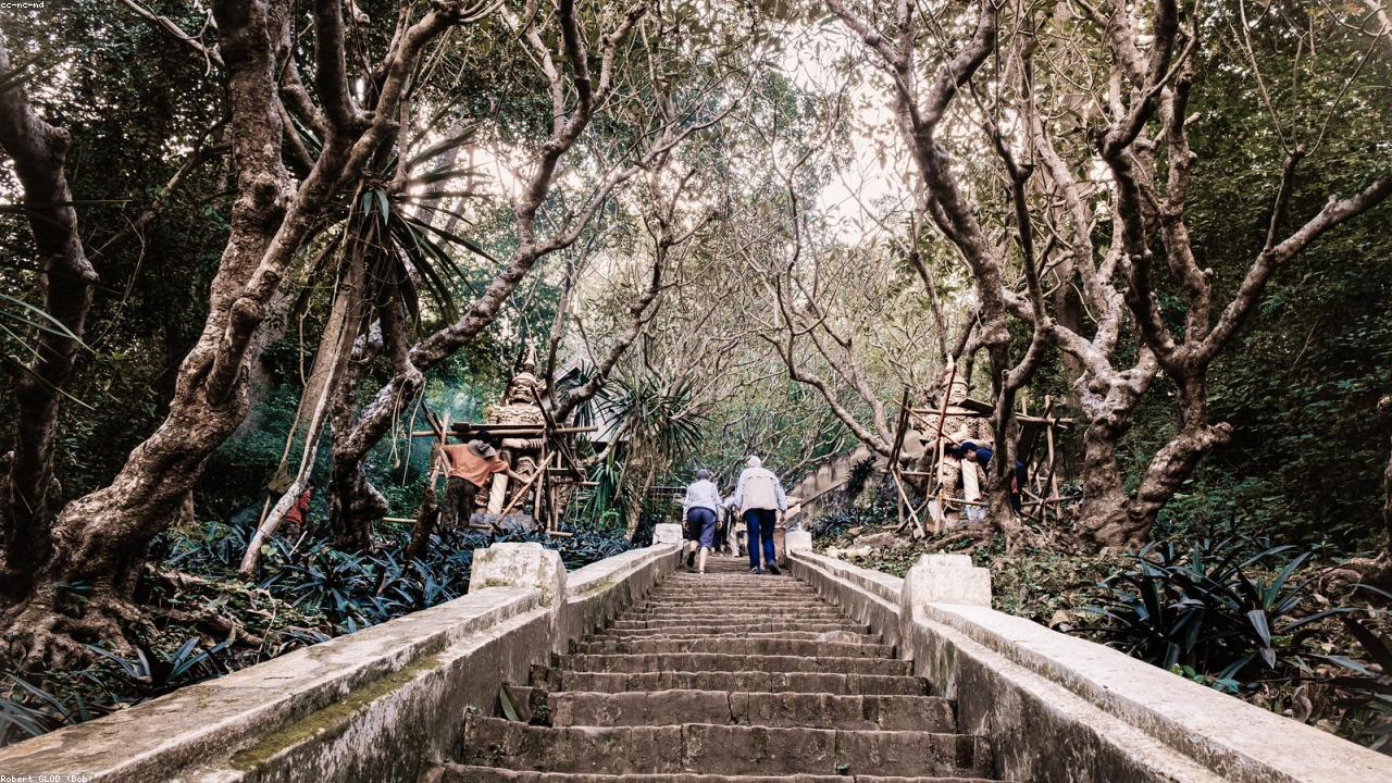 Outdoor property preparation and site work